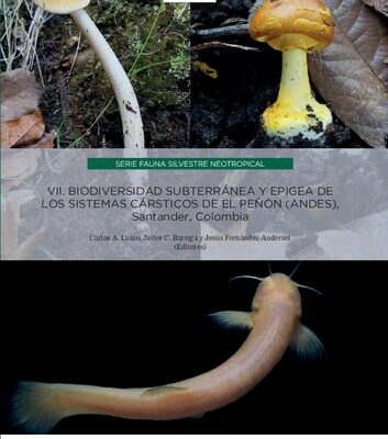 خرید و دانلود نسخه کامل کتاب Biodiversidad subterránea y epigea de los sistemas cársticos de El Peñón (Andes), Santander, Colombia
