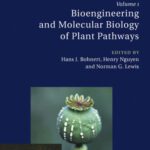 خرید و دانلود نسخه کامل کتاب Bioengineering and Molecular Biology of Plant Pathways