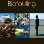 خرید و دانلود نسخه کامل کتاب Biofouling