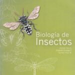 خرید و دانلود نسخه کامل کتاب Biología de Insectos