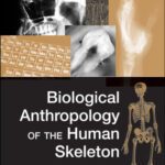 خرید و دانلود نسخه کامل کتاب Biological Anthropology of the Human Skeleton, 2nd edition