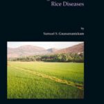 خرید و دانلود نسخه کامل کتاب Biological Control of Rice Diseases