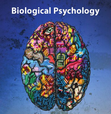 خرید و دانلود نسخه کامل کتاب Biological Psychology