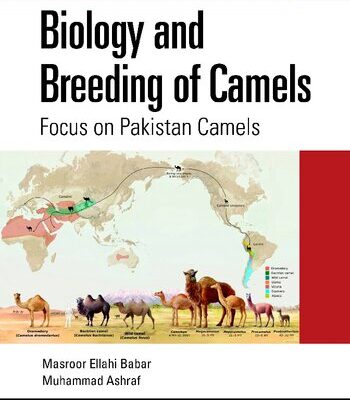خرید و دانلود نسخه کامل کتاب Biology and Breeding of Camels: Focus on Pakistan Camels
