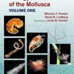 خرید و دانلود نسخه کامل کتاب Biology and evolution of the Mollusca (2 volumes)