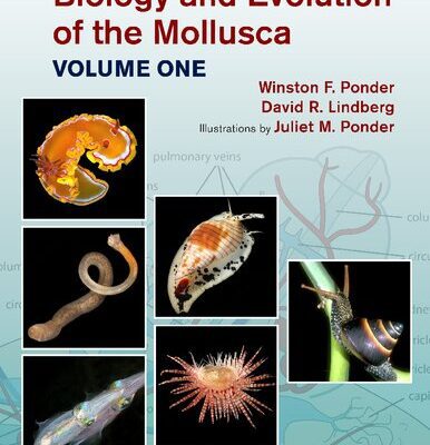 خرید و دانلود نسخه کامل کتاب Biology and evolution of the Mollusca (2 volumes)