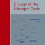 خرید و دانلود نسخه کامل کتاب Biology of the Nitrogen Cycle