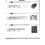 خرید و دانلود نسخه کامل کتاب Biology Part A for Class 9