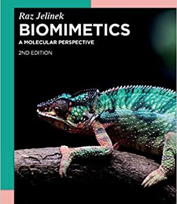 خرید و دانلود نسخه کامل کتاب Biomimetics: A Molecular Perspective