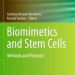 خرید و دانلود نسخه کامل کتاب Biomimetics and Stem Cells: Methods and Protocols