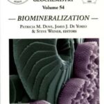 خرید و دانلود نسخه کامل کتاب Biomineralization