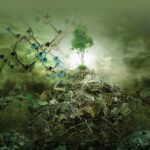 خرید و دانلود نسخه کامل کتاب Biotechnology for Waste Biomass Utilization