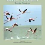 خرید و دانلود نسخه کامل کتاب Bird Flight
