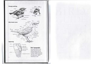 خرید و دانلود نسخه کامل کتاب Bird Guide
