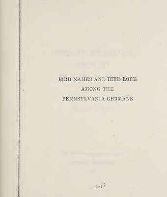 خرید و دانلود نسخه کامل کتاب Bird Names and Bird Lore Among the Pennsylvania Germans