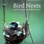 خرید و دانلود نسخه کامل کتاب Bird Nests and Construction Behaviour