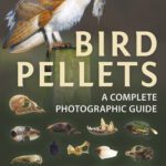 خرید و دانلود نسخه کامل کتاب Bird Pellets: A Complete Photographic Guide