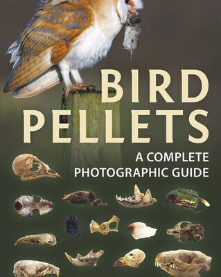 خرید و دانلود نسخه کامل کتاب Bird Pellets: A Complete Photographic Guide