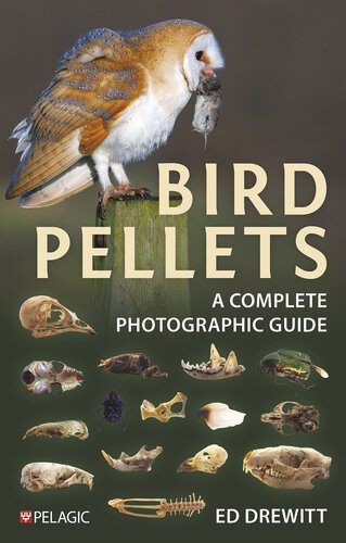 خرید و دانلود نسخه کامل کتاب Bird Pellets: A Complete Photographic Guide_68e74aa0cd93f.jpeg خرید و دانلود نسخه کامل کتاب Bird Pellets: A Complete Photographic Guide