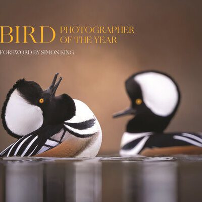 خرید و دانلود نسخه کامل کتاب Bird Photographer of the Year: Collection 9