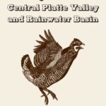خرید و دانلود نسخه کامل کتاب Birding Nebraska’s Central Platte Valley and Rainwater Basin