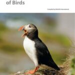 خرید و دانلود نسخه کامل کتاب BirdLife International. European Red List of Birds