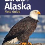 خرید و دانلود نسخه کامل کتاب Birds of Alaska Field Guide