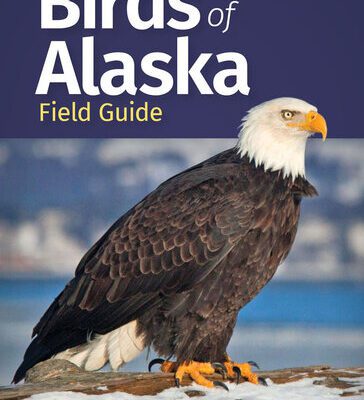 خرید و دانلود نسخه کامل کتاب Birds of Alaska Field Guide