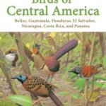 خرید و دانلود نسخه کامل کتاب Birds of Central America: Belize, Guatemala, Honduras, El Salvador, Nicaragua, Costa Rica, and Panama