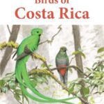 خرید و دانلود نسخه کامل کتاب Birds of Costa Rica