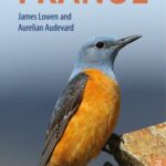 خرید و دانلود نسخه کامل کتاب Birds of France