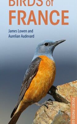 خرید و دانلود نسخه کامل کتاب Birds of France