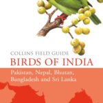 خرید و دانلود نسخه کامل کتاب Birds of India, Pakistan, Nepal, Bhutan, Bangladesh, Sri Lanka