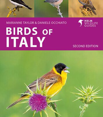 خرید و دانلود نسخه کامل کتاب Birds of Italy, 2e