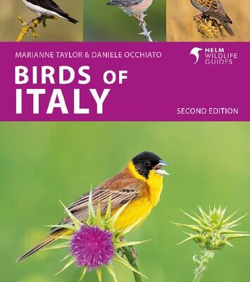 خرید و دانلود نسخه کامل کتاب Birds of Italy, 2e
