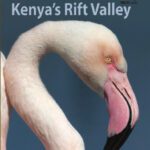 خرید و دانلود نسخه کامل کتاب Birds of Kenya’s Rift Valley