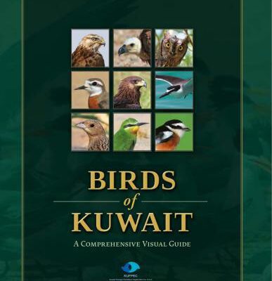 خرید و دانلود نسخه کامل کتاب Birds of Kuwait. A Comprehensive Visual Guide