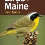 خرید و دانلود نسخه کامل کتاب Birds of Maine Field Guide