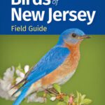 خرید و دانلود نسخه کامل کتاب Birds of New Jersey Field Guide