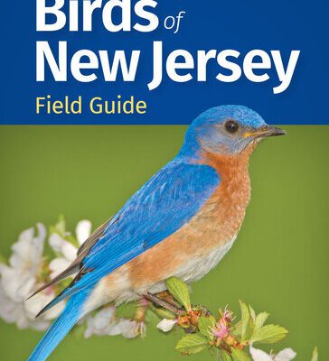 خرید و دانلود نسخه کامل کتاب Birds of New Jersey Field Guide