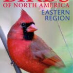 خرید و دانلود نسخه کامل کتاب Birds of North America. Eastern Region. The Ultimate Photographic Guide
