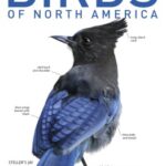 خرید و دانلود نسخه کامل کتاب Birds of North America, Western Region