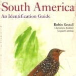 خرید و دانلود نسخه کامل کتاب Birds of Northern South America: An Identification Guide, Volume 2: Plates and Maps