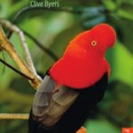 خرید و دانلود نسخه کامل کتاب Birds of Peru