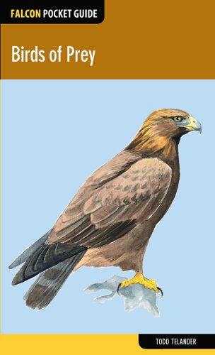 خرید و دانلود نسخه کامل کتاب Birds of Prey_68e7ff102d5b9.jpeg خرید و دانلود نسخه کامل کتاب Birds of Prey