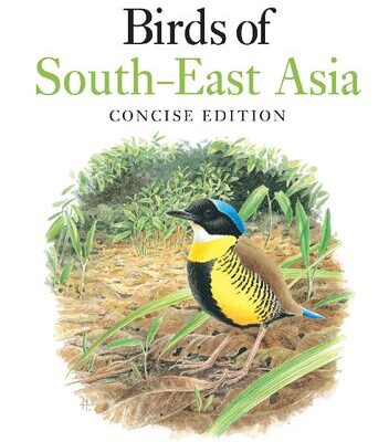 خرید و دانلود نسخه کامل کتاب Birds of South-East Asia: Concise Edition
