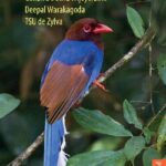 خرید و دانلود نسخه کامل کتاب Birds of Sri Lanka