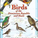 خرید و دانلود نسخه کامل کتاب Birds of the Dominican Republic and Haiti