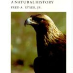 خرید و دانلود نسخه کامل کتاب Birds of the Great Basin: a natural history