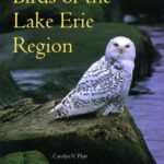 خرید و دانلود نسخه کامل کتاب Birds of the Lake Erie Region
